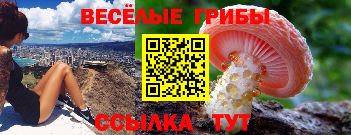 Псилоцибиновые грибы GOLDEN TEACHER Кимовск