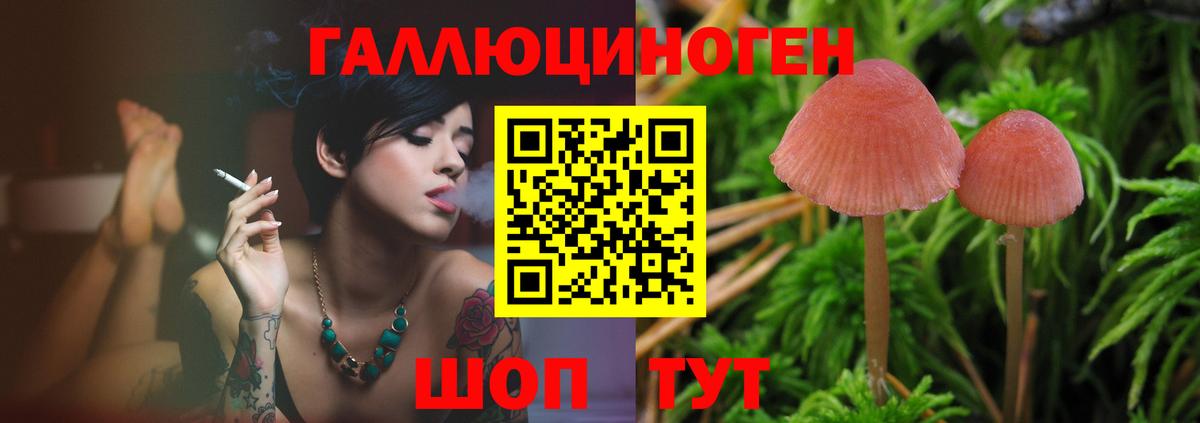 Галлюциногенные грибы Psilocybine cubensis  Псилоцибиновые грибы Magic Shrooms  Кимовск  Вход с VPN 